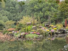 -杭州植物园