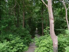-黑龙江省森林植物园