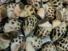 -青蓬蒸汽海鲜·深圳老字号·团建聚会(壹方城店)