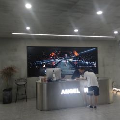 -ANGELHAND