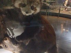 -陕西自然博物馆