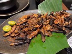 -Ameigo梅果·云贵川bistro(长宁来福士店)