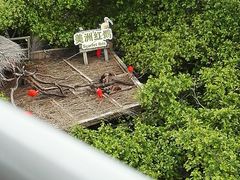 -寮步香市古镇休闲景区
