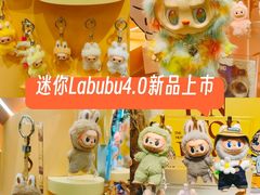 -泡泡玛特POPMART(天环购物中心店)
