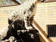 -青藏高原野生动物园