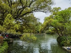 -西溪国家湿地公园