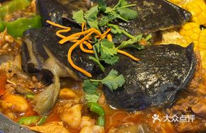 Warlord Softshell Turtle Hot Pot