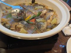 -龙悦湾酒家·八阵鱼生·渔人码头店
