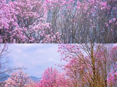 -九皇山景区