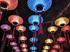 -长春市南湖公园