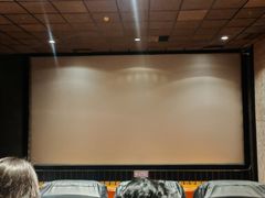 -华美国际影城(旧宫永辉店)