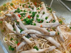 沙虫拌豆芽-旺来排档