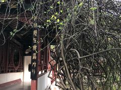 -富乐山