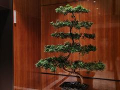 -成都尼依格罗酒店