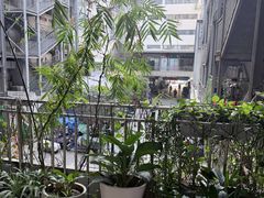 -温鉴良实用咏春拳