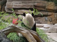 -常州淹城野生动物世界