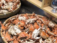 -凯悦·东方公主号 全球海鲜自助餐厅(凯丹广场店)