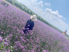 -北纬44度·金珠花海休闲农业旅游景区