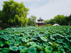 -莲池书院博物馆