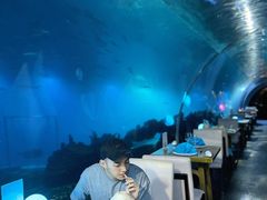 海底隧道景观位-涛·海底餐厅·美人鱼·自助餐·海底隧道(三亚海棠湾洲际度假酒店)