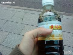 -黄振龙凉茶馆