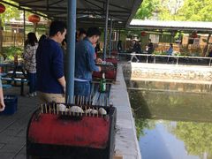 -北京上庄水库尚野露天户外自助烧烤