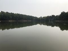 -南京市无想山景区