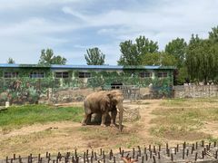 -西安秦岭野生动物园