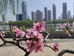 -迎泽公园