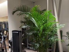 -YCHL FIT 健身(星寰店)