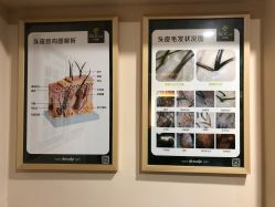 -丝客富脱发养发头皮馆