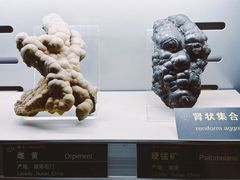 -中国地质博物馆