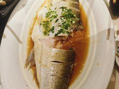 -松沪名灶·新上海菜(飞航吾悦广场店)