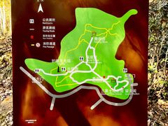 -上海佘山国家森林公园天马山园