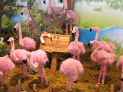 -济州岛泰迪熊博物馆