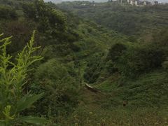 -许家山