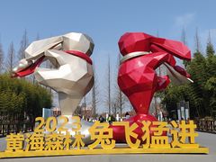 -黄海国家森林公园