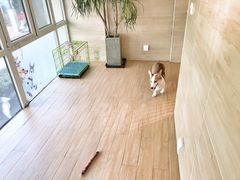 -Double Rui宠物酒店