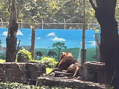 -秦皇岛野生动物园
