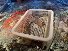 -古韵轩·园林餐厅