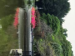 -东莞植物园