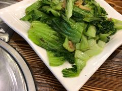 -鸿达渔港