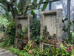 -东莞植物园