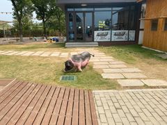 -太阳岛度假酒店