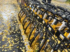 -四川大学(华西校区)