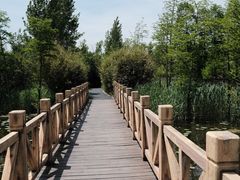 -溱湖国家湿地公园