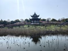 -上海海湾国家森林公园