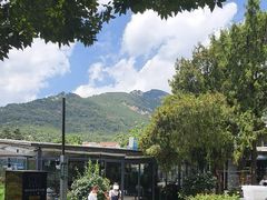 -蘇河湾·新鲁菜·泰山宴(泰山店)