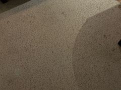 -昆山隆祺国际饭店