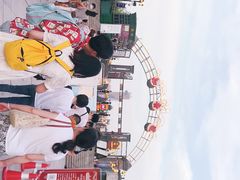 -武汉知音号
